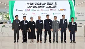 뉴스1 - News update