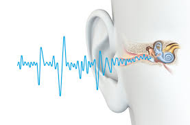 Image result for Ringing in the Ears (Tinnitus)