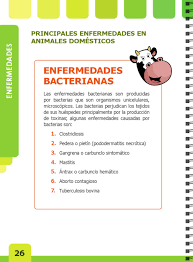 Image result for "Enfermedades bacterianas en animales"