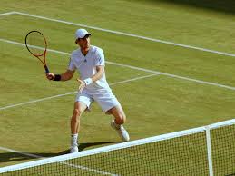 Resultado de imagen de tennis
