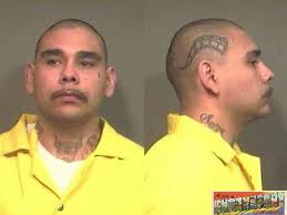 Javier Arambula Jr. , charged with possession of marijuana…HUGE Minnesota Vikings fan. - horn-tattoo
