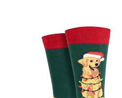 dog wearing Christmas socksの画像