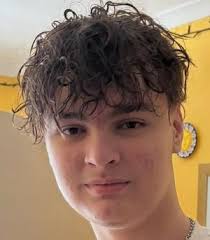 Fresh appeal for help to find 'vulnerable' Wolverhampton teenager reported missing for nearly a month