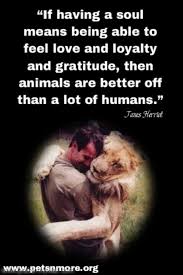 Pets N More: Inspiring Quotes For People Who Love Animals via Relatably.com