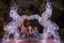 La magia de la Navidad llegó a Sixs Flags