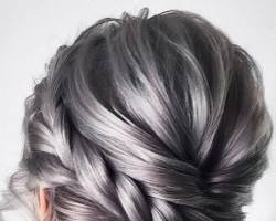 Image de Long Grey Hair Braided Updo