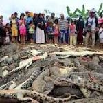 Angry Slaughtered Nearly Crocodiles Revenge