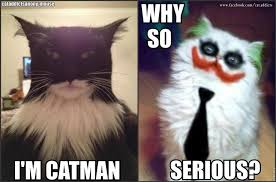 I&#39;m Catman. Why so serious? | Quotes, Infographics &amp; Meme Stuff ... via Relatably.com