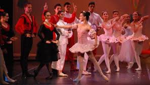 Image result for incolballet