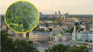 News Telegraf - News update