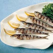 Risultati immagini per sardine alici