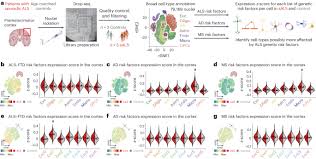 Uncovering Genetic Risk Factors in Extratelencephalic Neurons Through Single-nucleus Sequencing - 1