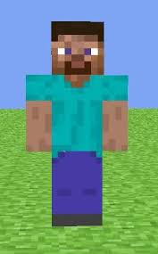 Image result for minecraft steve