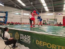 Boxeo