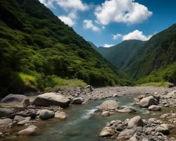 Image of river flowing amidst lush greenery