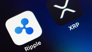 Crypto Insiders - News update