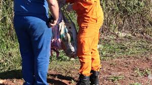 Da Venezuela, mãe morta na BR-163 era engenheira civil e apaixonada por Campo Grande
