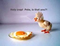 Funny Easter Pictures, Pics, Images Of Bunnies and Eggs via Relatably.com