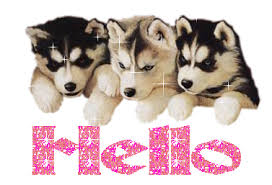 Képtalálat a következőre: „szia feliratos képek”