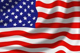 Image result for USA FLAG