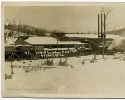 Wildell Lumber Company Mill, Wildell, W. Va.