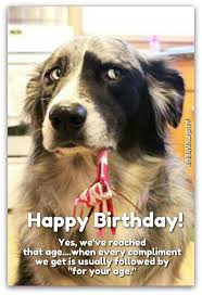 Image result for funny birthday