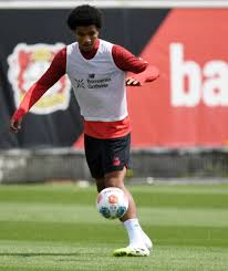 BILD - News update