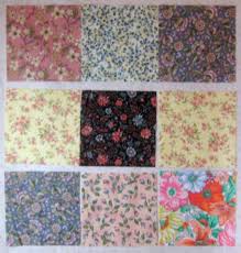 Résultat de recherche d'images pour "D9P quilts"