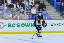 Vancouver Canucks 2026 NHL Draft Target: Mathis Preston