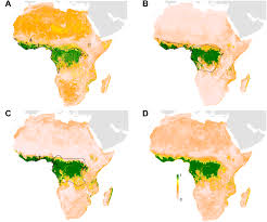 Αποτέλεσμα εικόνας για Bundibugyo ebola-chan