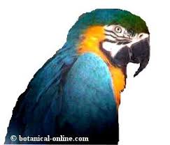 https://encrypted-tbn2.gstatic.com/images?q=tbn:ANd9GcQK-KMCoZlF5JMDlpJjOm8SQS5Met35OL0vthFOFQtYtqonQpS9