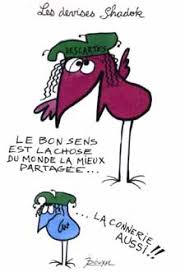 Image result for shadoks