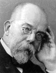 <b>Robert Koch</b> - 3067_Robert_Koch