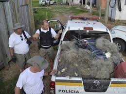 Resultado de imagem para pesca rs