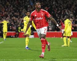 nottm forest vs fenerbahçe 아이콘