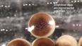 Vídeo de La nueva ciencia del futur
