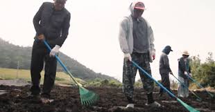 조선일보 - News update