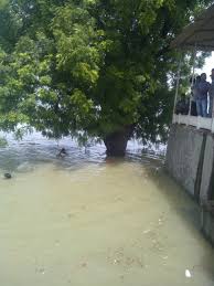 Kuvahaun tulos haulle shiva temple flood