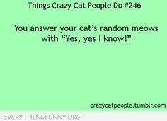Cat people quotes on Pinterest | Crazy Cats, People and Cat via Relatably.com