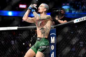 UFC 316: Dvalishvili vs O'Malley Rematch – Will Suga Get His Revenge? - Imagen principal del artículo