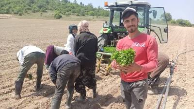 Bursa'da Emre Fel rüzgarı İhlas Haber Ajansı