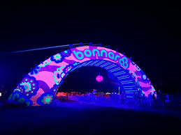 bonnaroo Picture