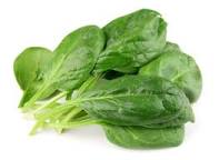 Image result for spinach