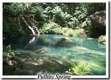 Bildergebnis für pulltite spring