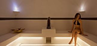 Image result for building a steam room