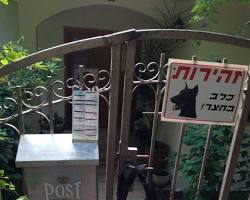 Image of חלוקת פליירים בשכונות