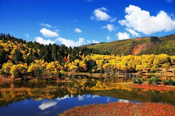 1 Day Shangri-la City Tour with Pudacuo National Park - Viator