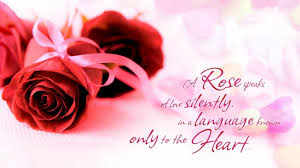 Red Rose Love Words Quotes Wallpaper HD Free Download via Relatably.com