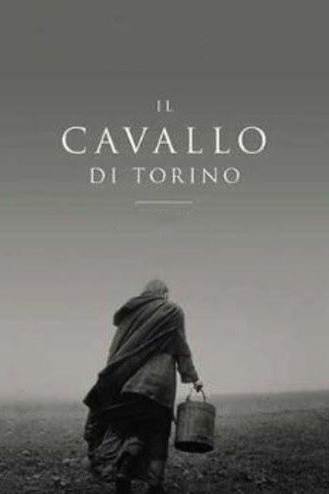 Risultato immagini per Il Cavallo di Torino