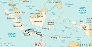 Image result for bali world map